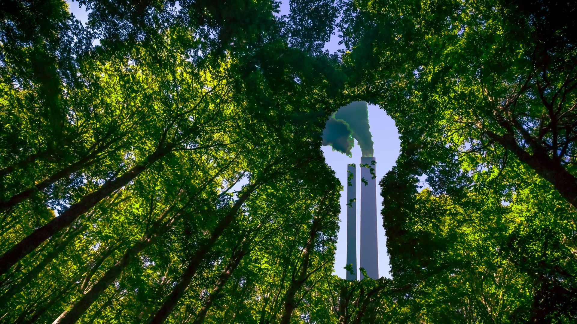 Greenwashing: Prečo je dôležité rozpoznať skutočnú udržateľnosť?