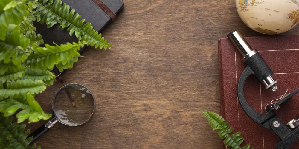 Pohľad zhora na mikroskop obklopený zelenými rastlinami, symbolizujúci vedecký a detailný prístup k štúdiu a manažmentu environmentálnych procesov v odpadovom hospodárstve pre podnikových ekológov.